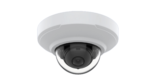 IP-Cameras